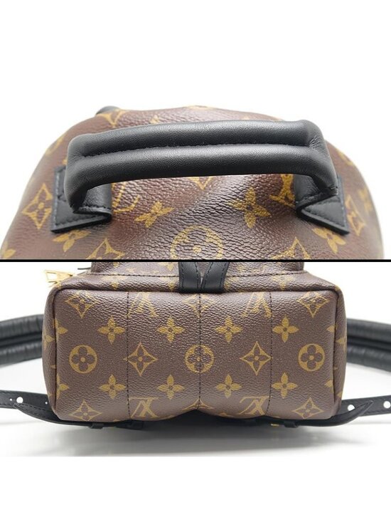 Louis Vuitton Monogram Palm Springs Backpack PM main image 10